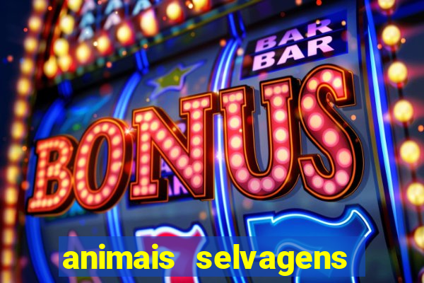 animais selvagens fotos e nomes